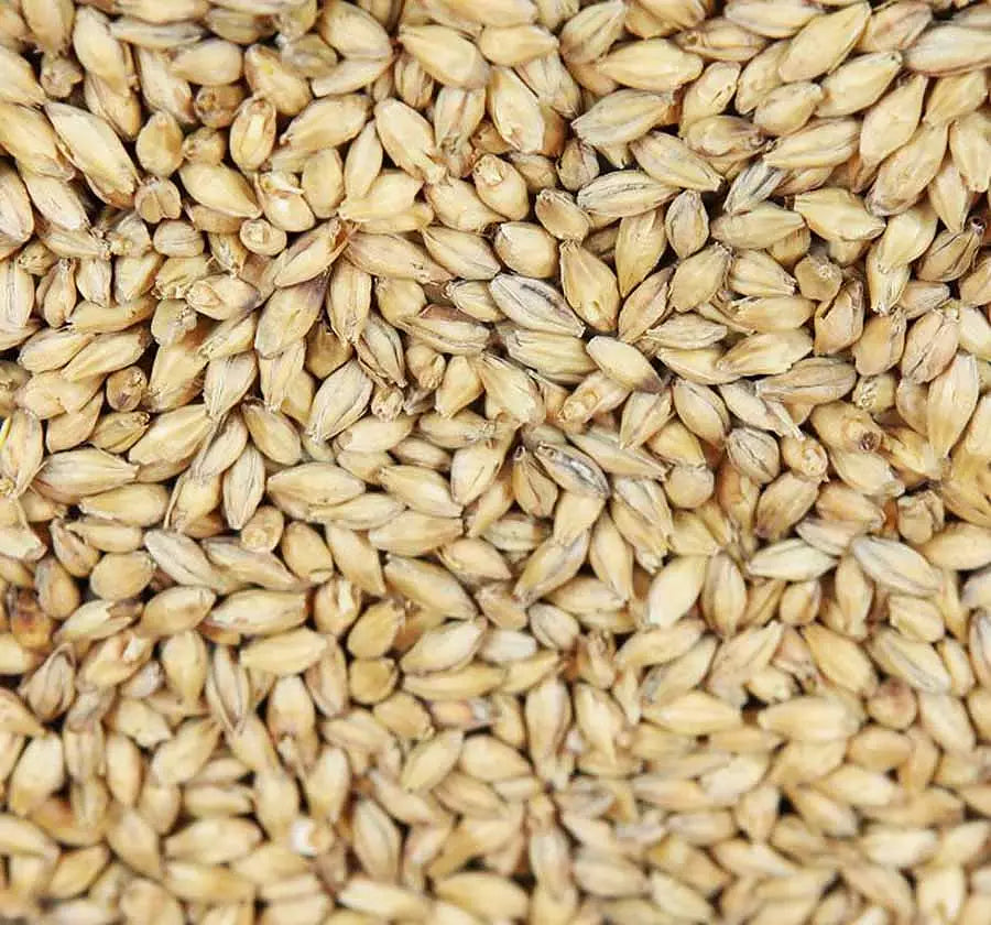 Extra pale premium pilsnermalt (Weyermann®), hel/krossad, 1 kg