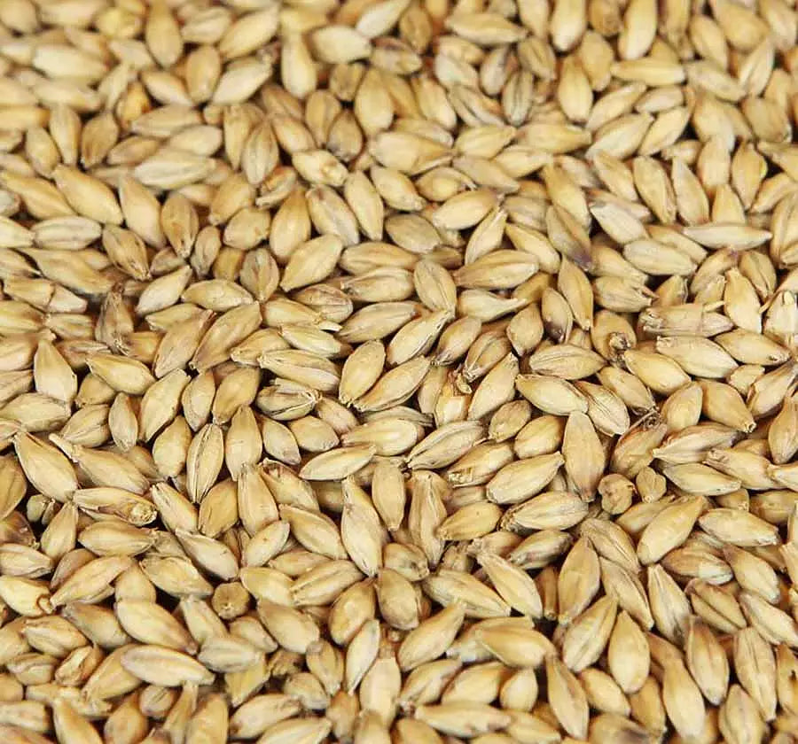 bokrökt kornmalt (Weyermann®), hel/krossad, 25 kg