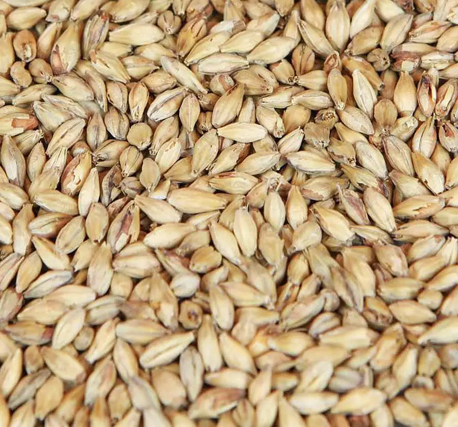 Caramünch® 1 (Weyermann®), hel/krossad, 25 kg
