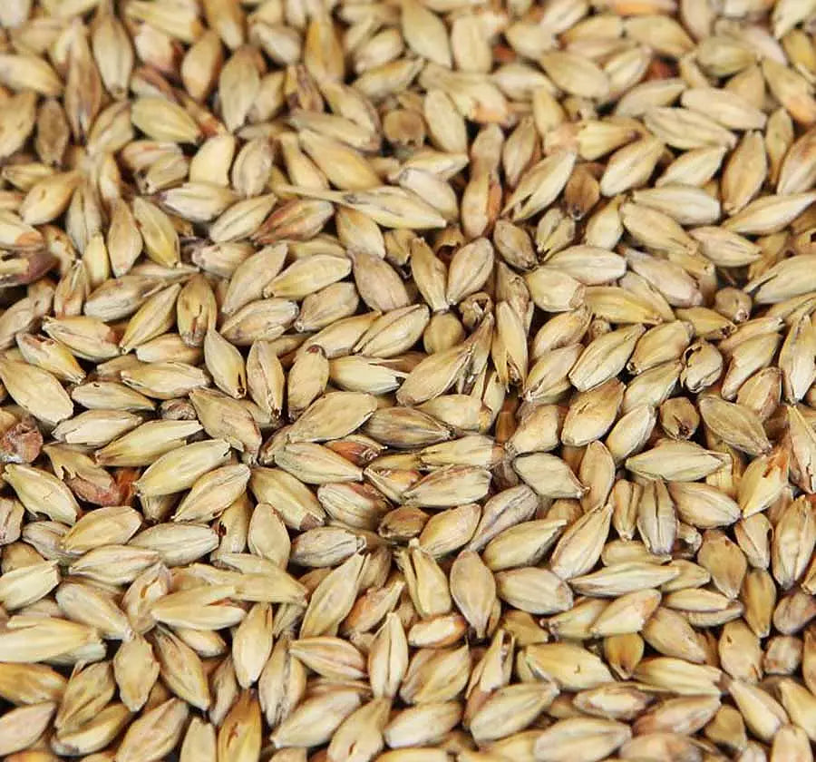 melanoidinmalt (Weyermann®), hel/krossad, 25 kg