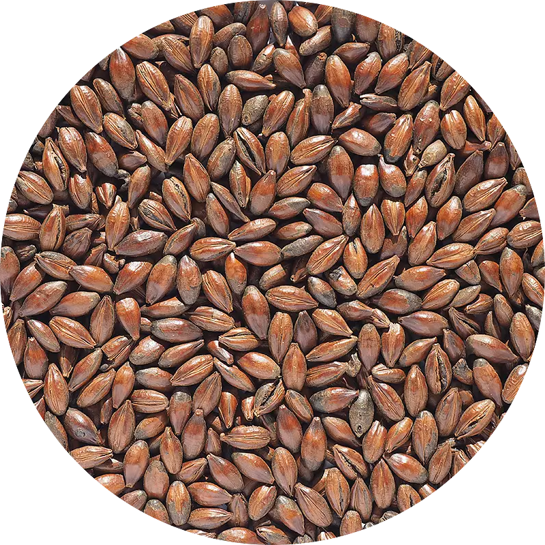 Chocolate Malt (Crisp), 1 kg