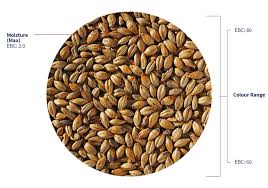 Amber Malt Crisp, hel malt, 1 kg