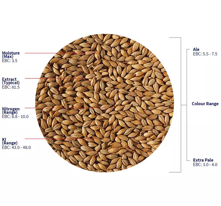 Maris Otter Ale Malt (Crisp) 1kg