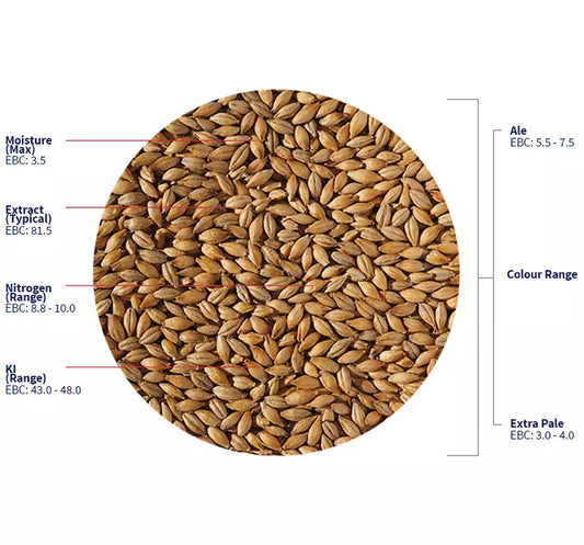 Extra Pale Maris Otter Malt (Crisp) 1kg