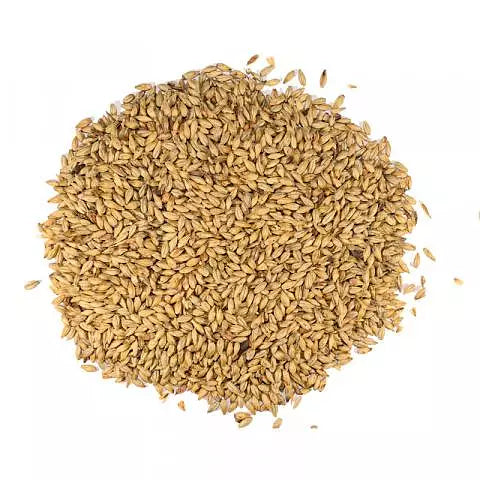 Biscuit malt (Dingemans) 1kg