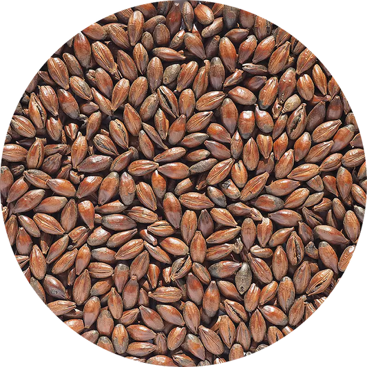 Chocolate Malt (Crisp), 1 kg