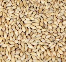 Barke® wienermalt Weyermann®, hel malt, 25 kg