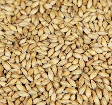 Barke® pilsnermalt Weyermann®, hel malt, 1 kg