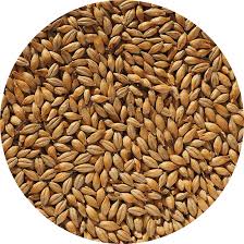 No 19 Floor Malted Maris Otter Malt, hel malt, 25 kg