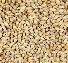 Golvmältad böhmisk pilsnermalt (Weyermann®), hel, 25 kg